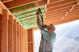 Eco-Friendly or Green Insulation Solutions in Mauriceville, TX